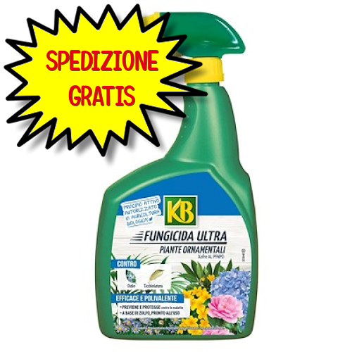 KB Fungicida Ultra PFnPO  800 ML R.M.S.N°18333 del 01/02/2024