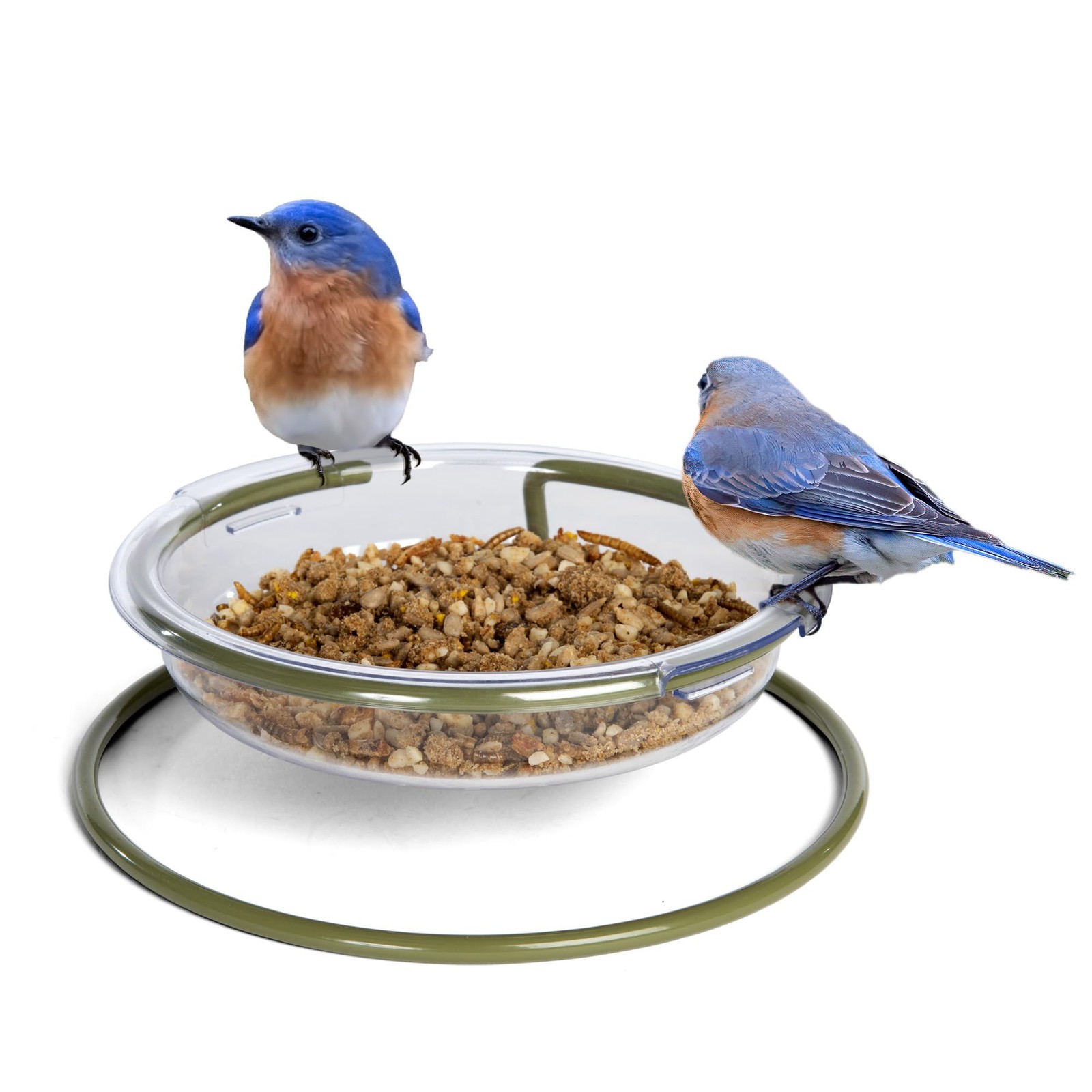 Jacobi Jayne I Love Robins - Mangiatoia per Uccelli, Facile da Pulire, (n7p)