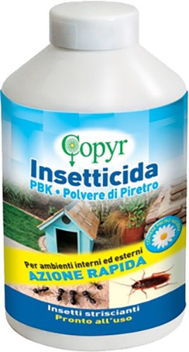 INSETTICIDA POLVERE PIRETRO G.250