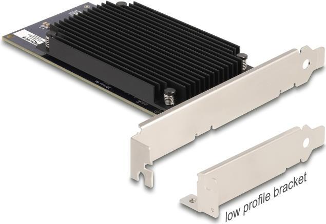 3161800 DeLOCK Delock PCI Express x8 Hailo-8 AI Prozessor x2 KI-Beschleuniger (3