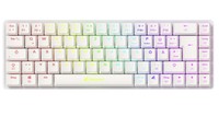 Sharkoon PURE WRITER RGB White W65 Red Tastiera QWERTZ 4044951037025