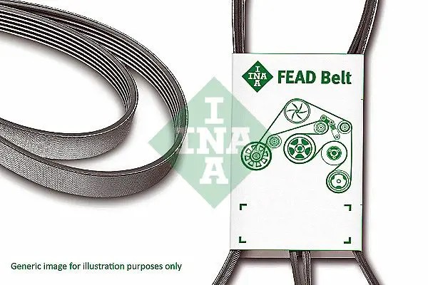Cinghia trapezoidale multirighe FB 5PK890 INA per BMW FORD FIAT TOYOTA VOLVO KIA