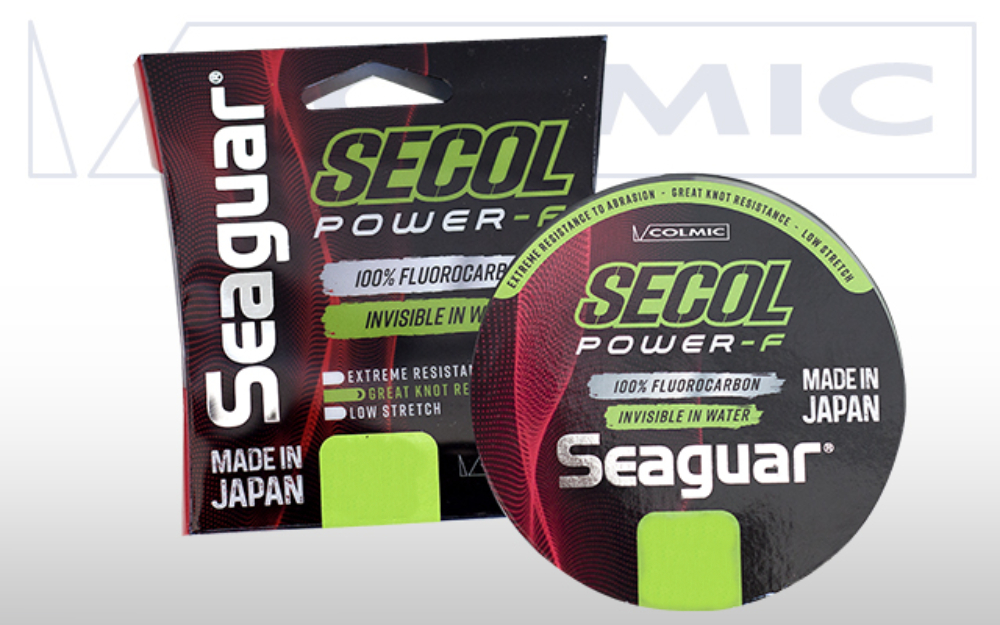Filo lenza da pesca monofilo fluorocarbon Seaguar Secol Colmic 0,62mm 28Kg 30m