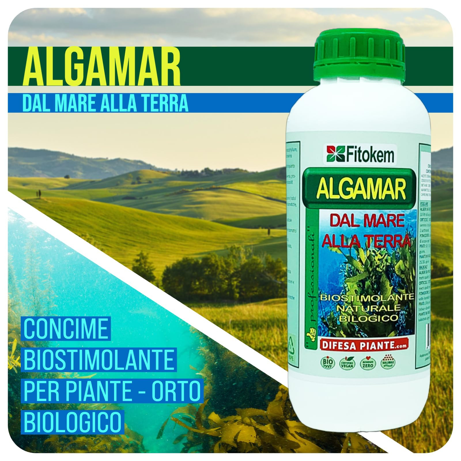 FITOKEM ALGAMAR - Concime Piante Verdi, Prato, Orto, Agrumi, Limoni (1 (X0h)