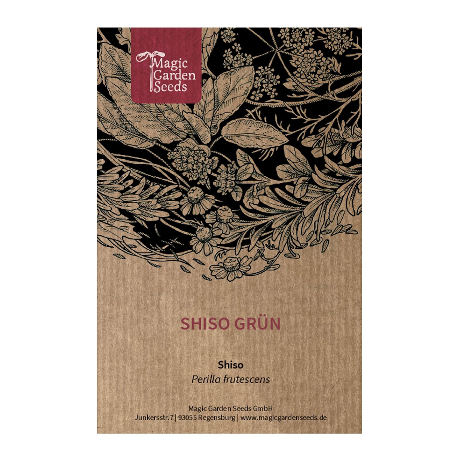 Perilla/Egoma (Perilla frutescens) - circa 200 semi (m1C)