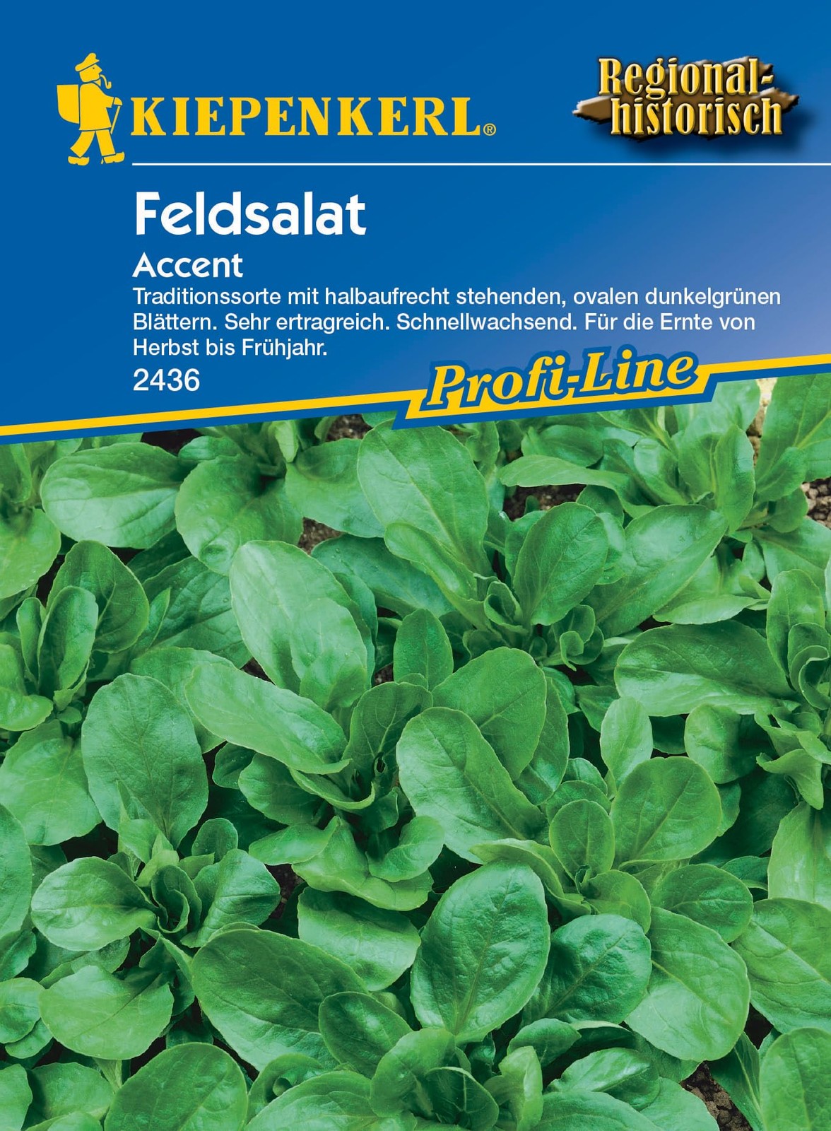 2436 Kiepenkerl Accent Feldsalat Samen Winterhart | Extra Frosthart | (X8J)