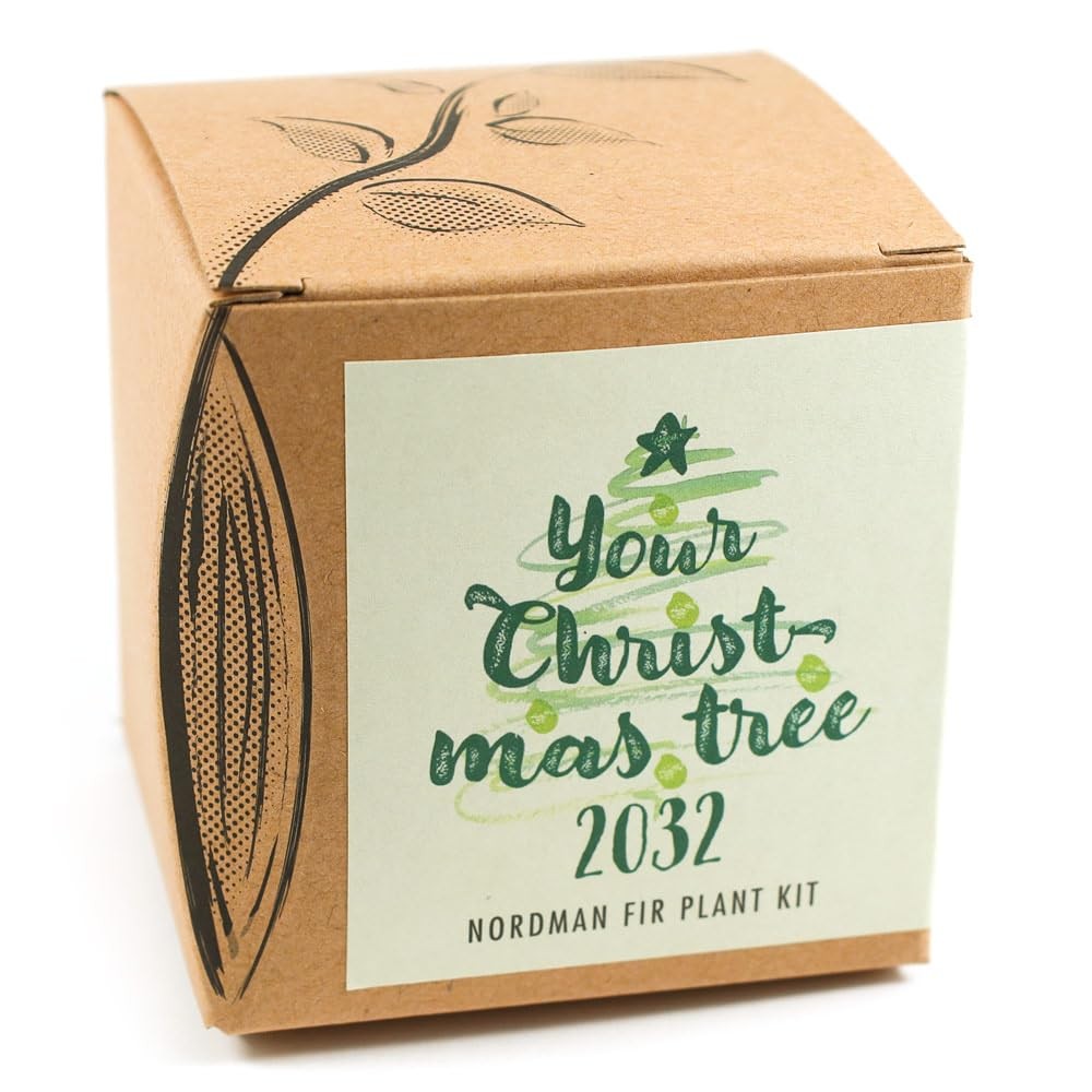 Your Christmas Tree 2031 - Kit per coltivazione "Your Christmas Tree (B7U)