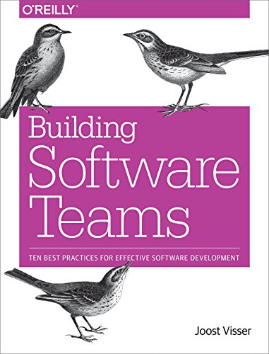 Building Software Teams: Ten Best Practices For Effective Software Development