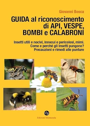 Guida Al Riconoscimento Di Api, Vespe, Bombi E Calabroni
