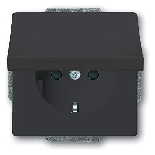 Busch-Jaeger Schuko® -Std Ebs Kl 20 Eukb-81