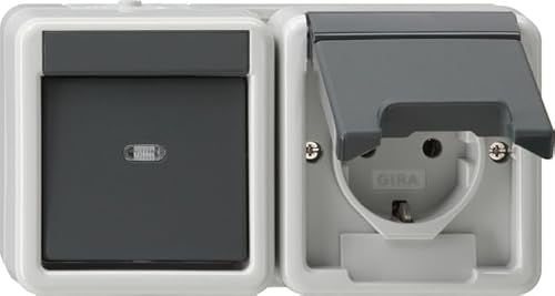Gira 417730 Combinazione Interruttore A Bilanciere/Presa Schuko 16 A 250 V ~ Orizzontale Con Coperchio Ribaltabile, Interruttore Universale, Grigio
