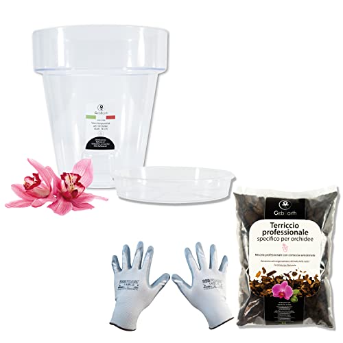 Gebearth - Kit Per Rinvasare Le Orchidee: Vaso Per Orchidee Trasparente, 4 Fori Di Drenaggio E Sottovaso + Terriccio Specifico Per Orchidee Da 1 Lt +