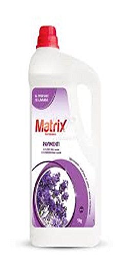 Lavapavimenti 2 Pz Tanica 5 Kg Matrix Bar Ristoranti Industriale Professionale