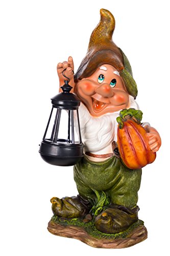 Statuetta Nano Da Giardino, Nano, Gnomo Da Giardino Con Lampada Solare Nf11021 – 1D, Misura 38 Cm Di Altezza, Statuetta Nano, Deko, Gnomo Da Giardino