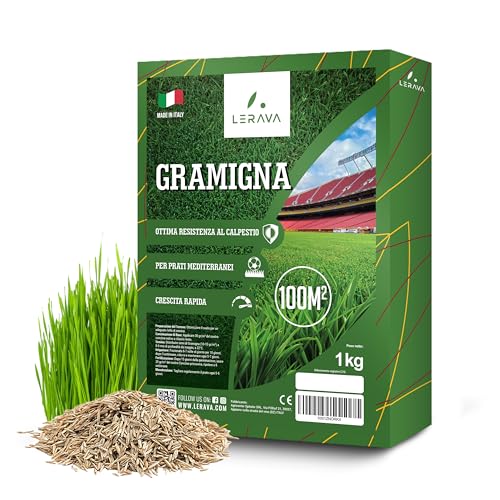Lerava® Semi Gramigna Per Prato [Calpestabile] - 100M² - Semi Prato Gramignone Resistente Alla Siccità - Ideale Per Prati Mediterranei E Costieri - Co