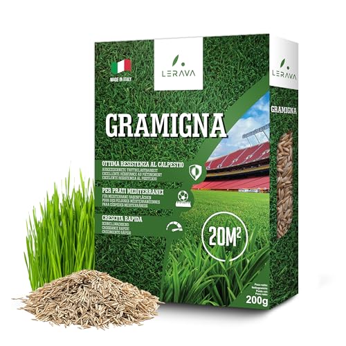 Lerava® Semi Gramigna Per Prato [Calpestabile] - 20M² - Semi Prato Gramignone Resistente Alla Siccità - Ideale Per Prati Mediterranei E Costieri - Con