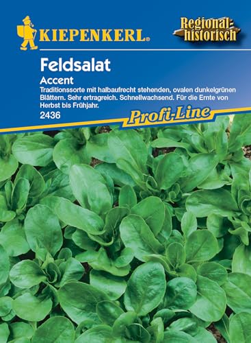 2436 Kiepenkerl Accent Feldsalat Samen Winterhart | Extra Frosthart | Schnellwachsend | Ertragreich | Feldsalat Saatgut | Wintersalat Samen | Salat Sa