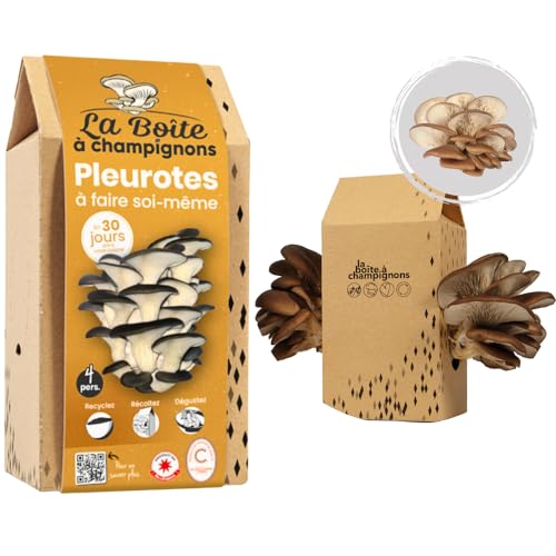 La Boite A Champignons - Kit Di Funghi Ostrica Grigi - Kit Fai Da Te - 4 Persone