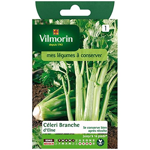 Vilmorin - Sedano Ramo Elne