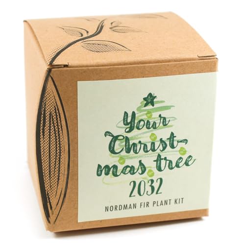Your Christmas Tree 2031 - Kit Per Coltivazione "Your Christmas Tree 2031"
