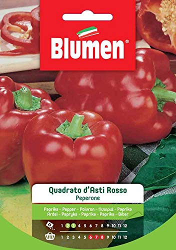 Peperone Quadrato D'Asti Rosso Blumen Sementi Orto
