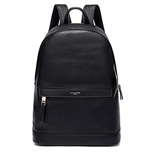David Jones - Zaino Uomo - Borsa Zainetto Media 13 Pollici Laptop Portatile Pu Pelle - Daypack Backpack Casual Elegante - Rucksack Multifunzionale Lav