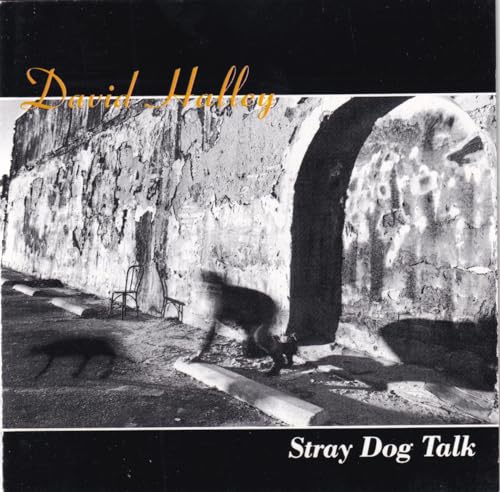 Stray Dog Talk
