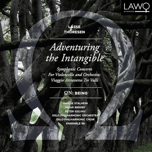 Lasse Thoresen: Adventuring The Intangible