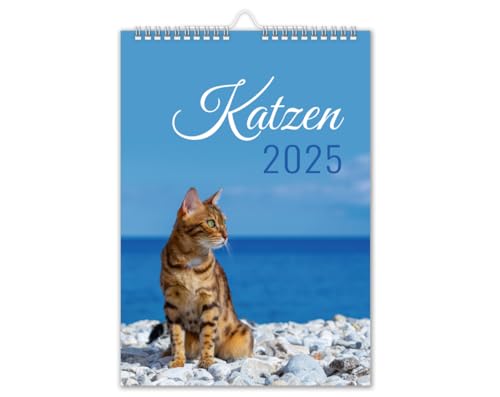 Calendario 2025 Gatti, Da Parete, Formato Din A4, Per Gatti Con Vacanze Scolastiche, Motivo: Gatto