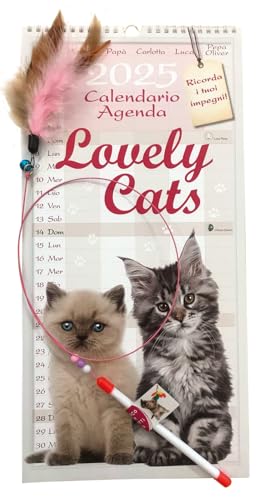Euro Publishing Calendario Agenda Cuccioli Di Gatto 2025+ Gadget - Cm 22X44