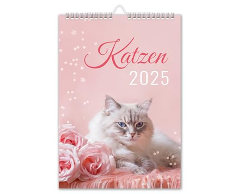 Calendario 2025 Gatti Da Parete, Formato Din A4, Per Gatti Con Vacanze Scolastiche, Motivo: Gatto Rosa
