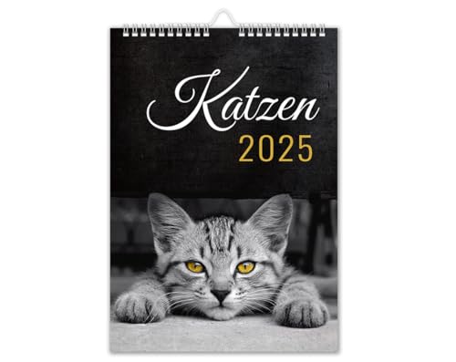 Calendario 2025 Gatti, Da Parete, Formato Din A4, Con Motivo Gatto, Colore: Nero