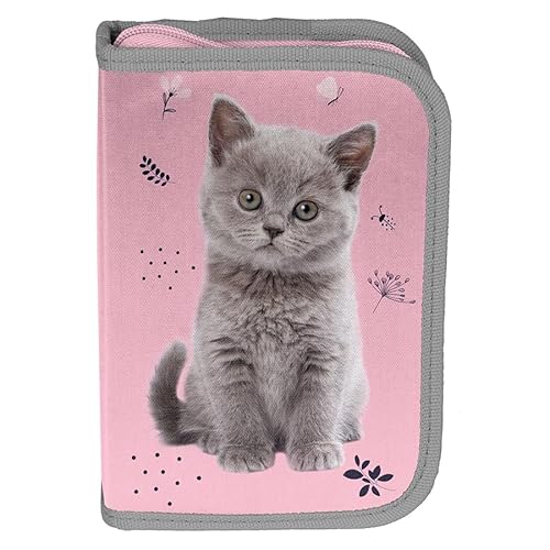 Paso Pp24Ct-P001, Astuccio Paso Cat, Multicolor