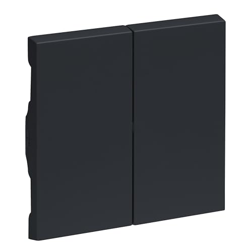 Legrand, Seano 765408 - Interruttore Di Serie, Doppio Interruttore E Doppio Pulsante, Coperchio Dell'Interruttore, Piastra A Bilanciere, Colore: Antra