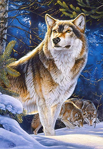 Castorland- Puzzle, Colore Vario, Csc104062