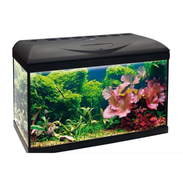 Acquario basic led amtra - 60 - spedizione gratis 1° ordine + scegli lo sconto bzr5 / bzr20