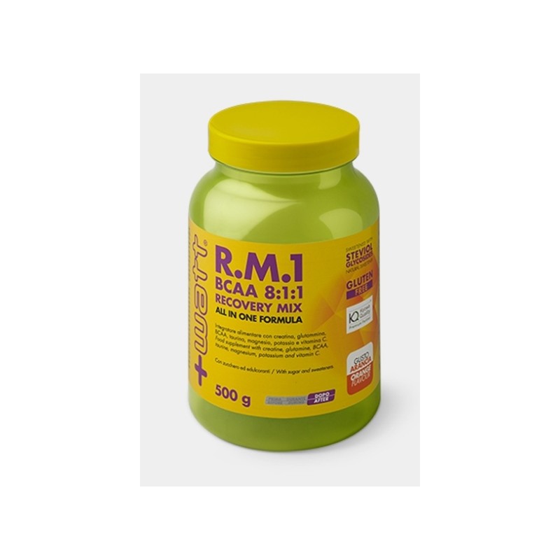 + Watt - + Watt Recovery Mix Bcaa 500 G
