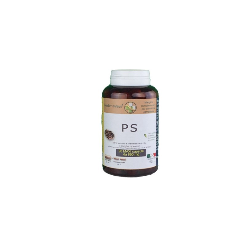 Golden Wave - Golden Wave Ps 90 Maxi Capsule