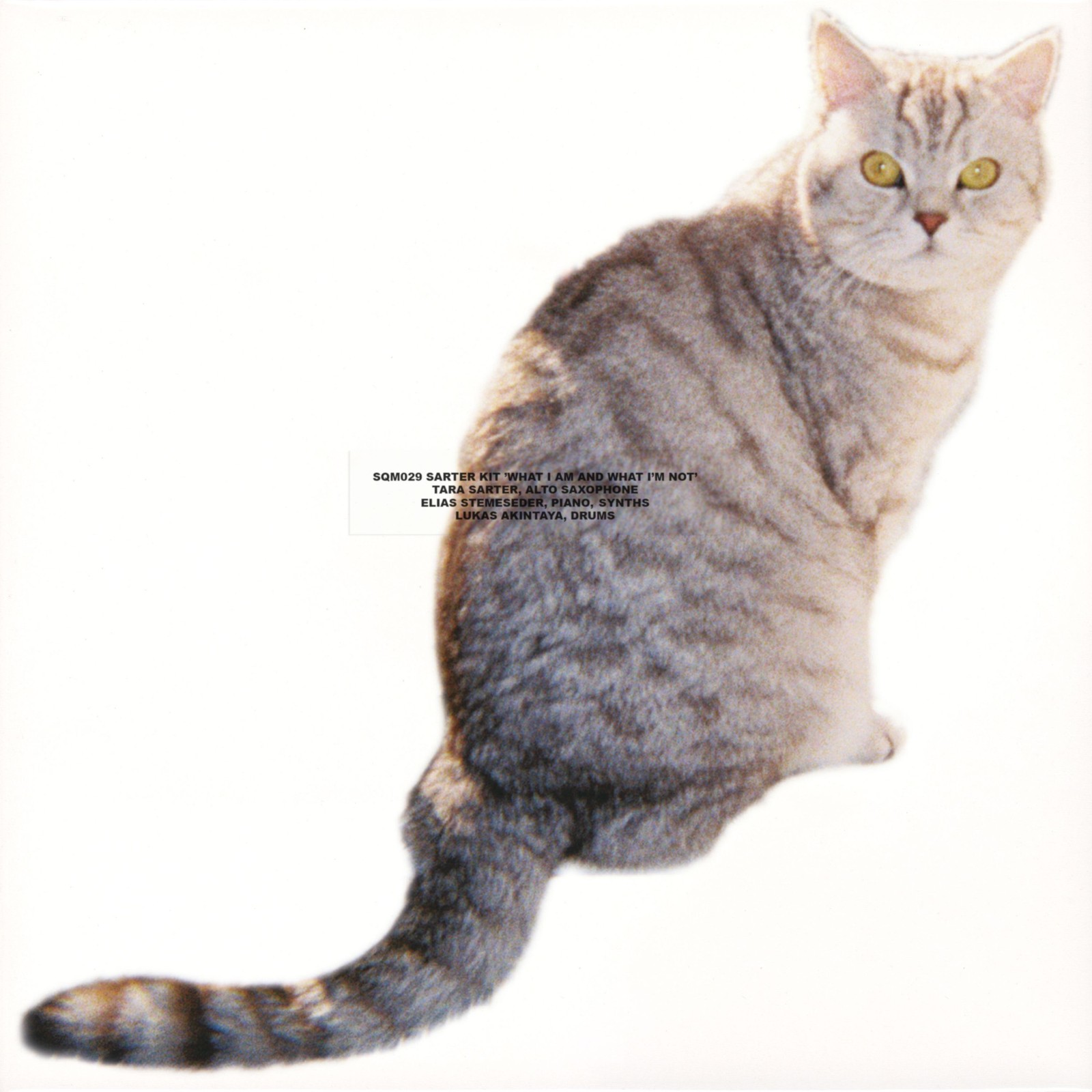 Sarter Kit What I Am and What I'm Not (Vinyl LP) 12" Album