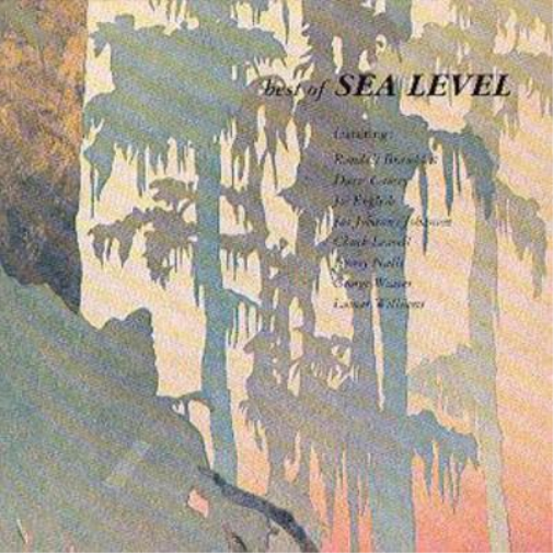 Sea Level Best Of Sea Level (CD) Album