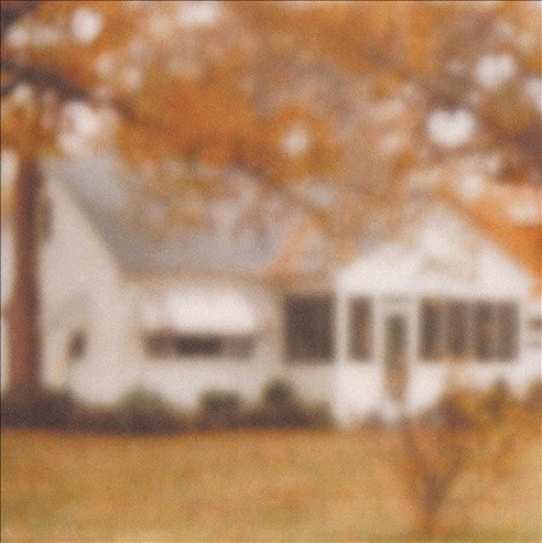 Rainbows from Atoms by Lungfish