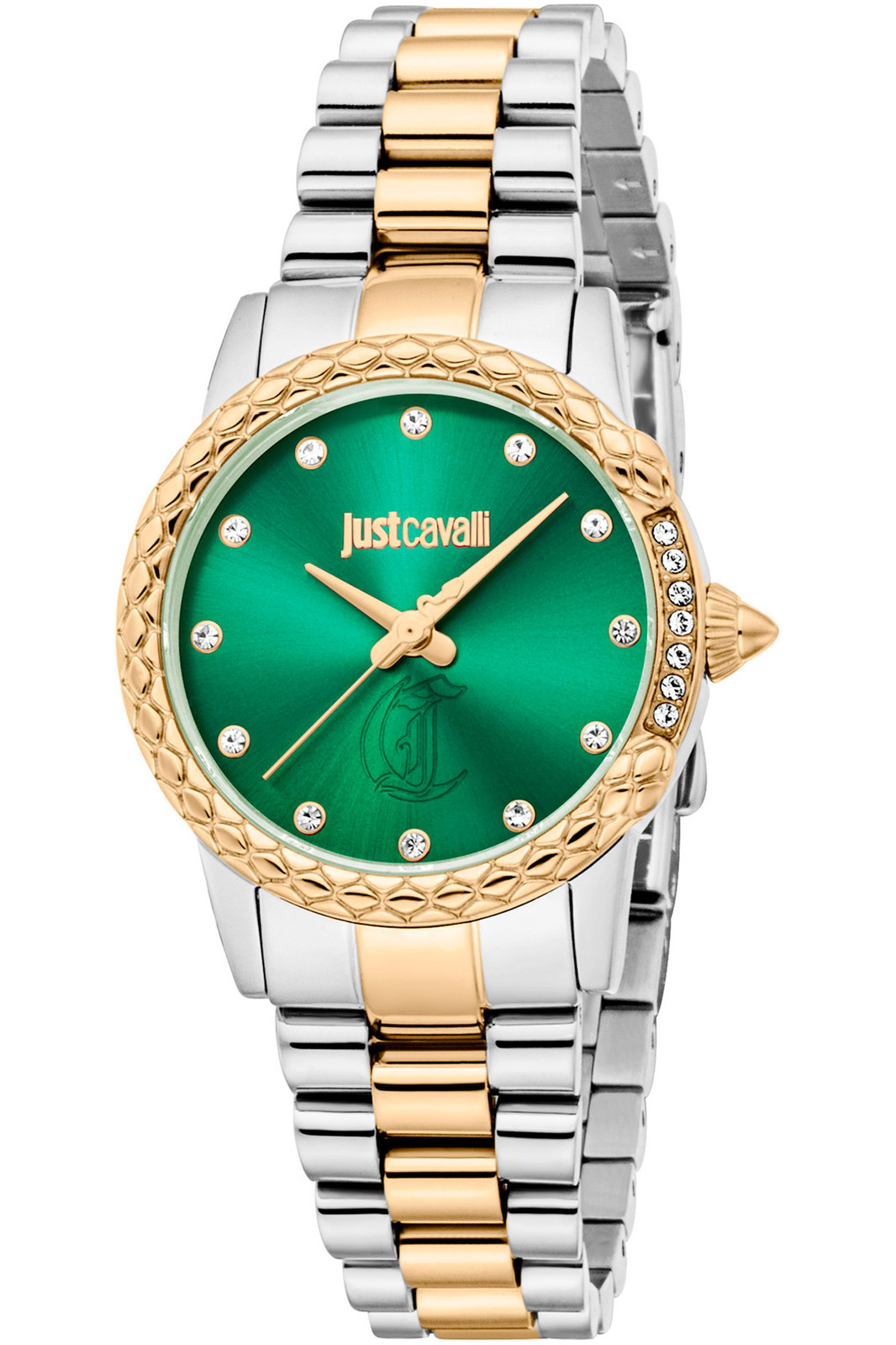 Orologio Just Cavalli  JC1L310M0105 da Donna  Verde bottiglia in Acciaio INOX