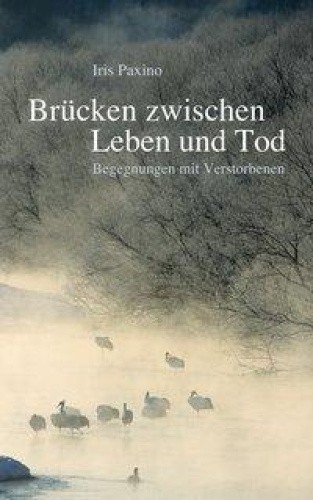 Brücken zwischen Leben und Tod [German] by Paxino, Iris