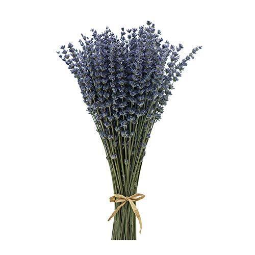 CoolCrafts Lavanda Essiccata Fiori Secchi Lavanda Fasci di Lavanda Mazzi (L5b)