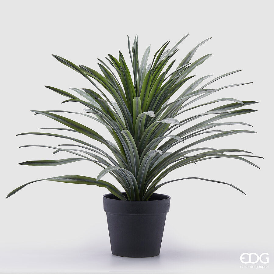 EDG Enzo De Gasperi EDG Enzo De Gasperi Bromelia con Vaso Artificiale H 58 Cm Gr