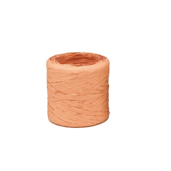 Rafia Vintage Bolis - 200 m - 51781322064 (Salmone)