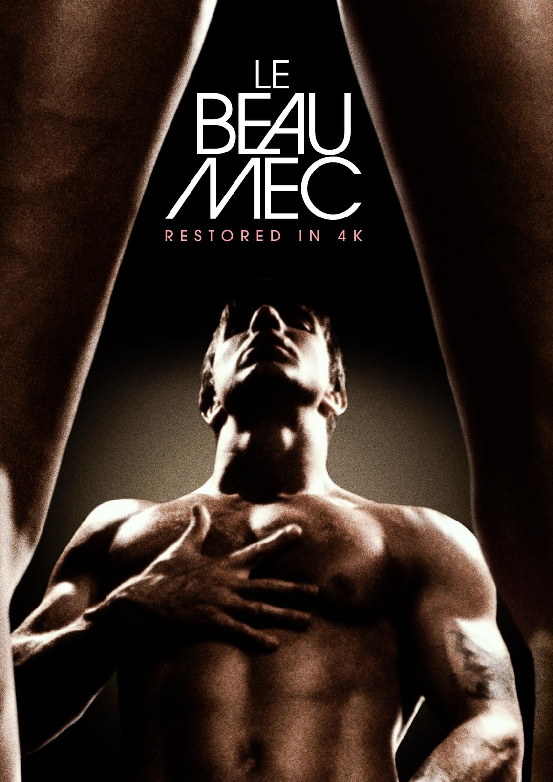 Le Beau Mec (DVD) Karl Forest Frank Chazal Cédric Dumont Wallace Potts