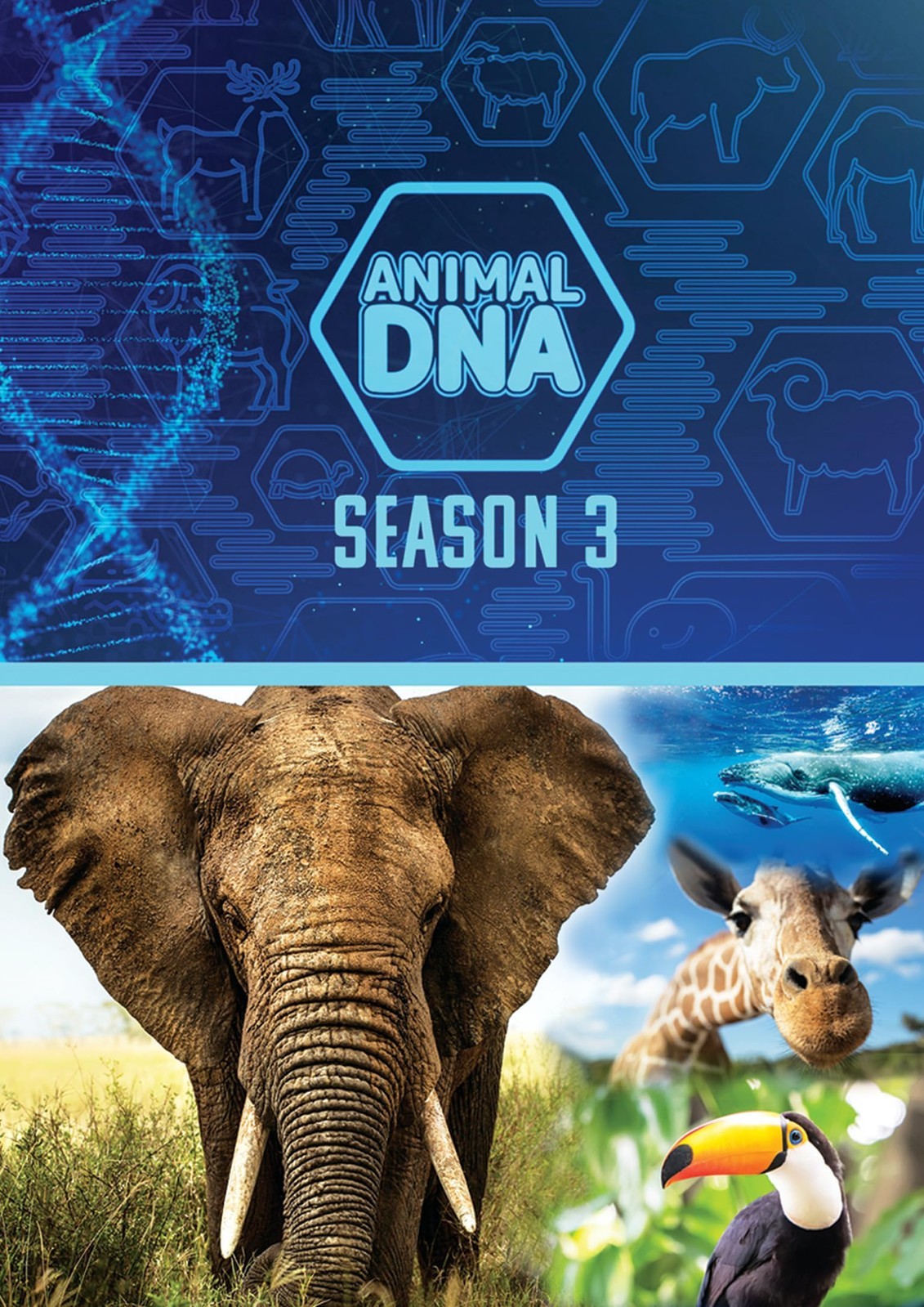Animal Dna: Season Three (DVD) Clayton Mcdonnell Manuel G Mejia