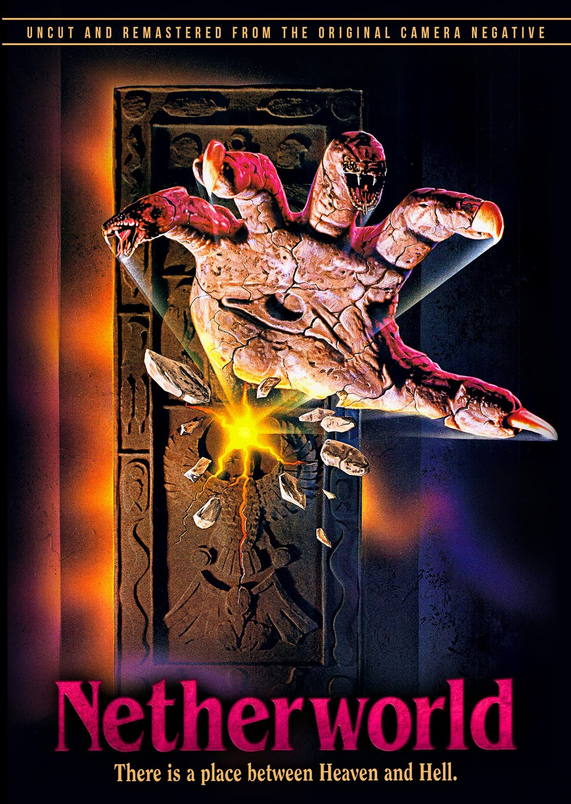 Netherworld ed] (DVD) Michael Bendetti Denise Gentile David Schmoeller