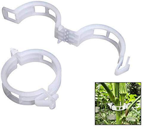 auvstar Clip per Piante, Garden Trellis Plant, Pomodoro Verdure Clip di (e8H)